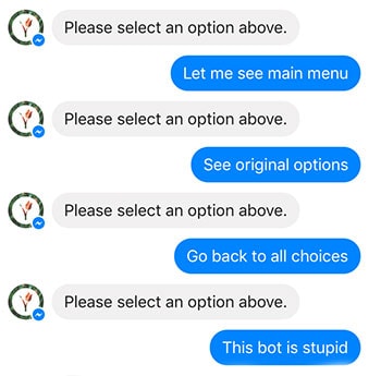Uno screenshot che mostra la conversazione con un chatbot che non capisce
