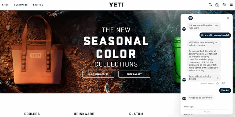 Chatbot assistant on Yeti homepage