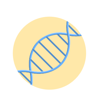 DNA string.
