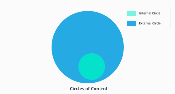 infographic of the circles of control.