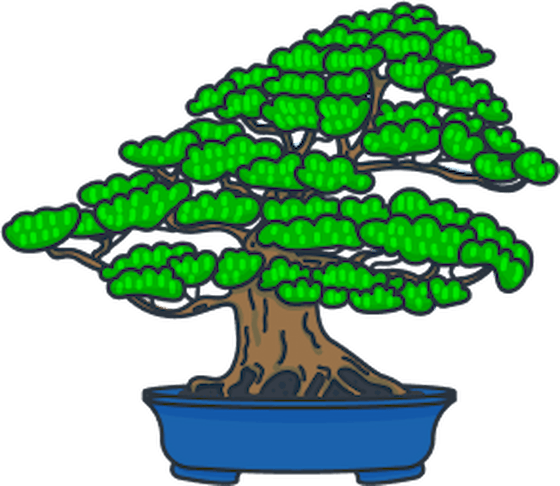 Bonsai tree