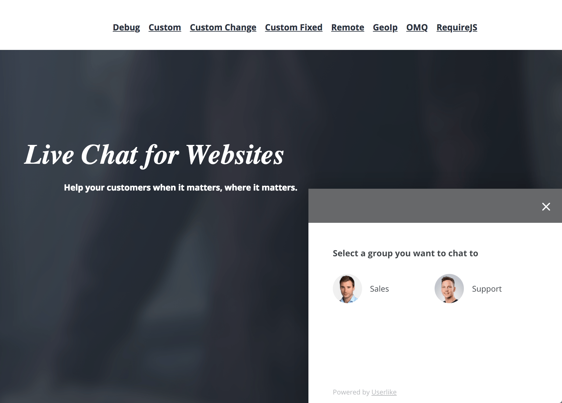 Web visitor view for choosing what department to chat with.