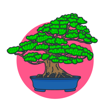 Bonsai tree