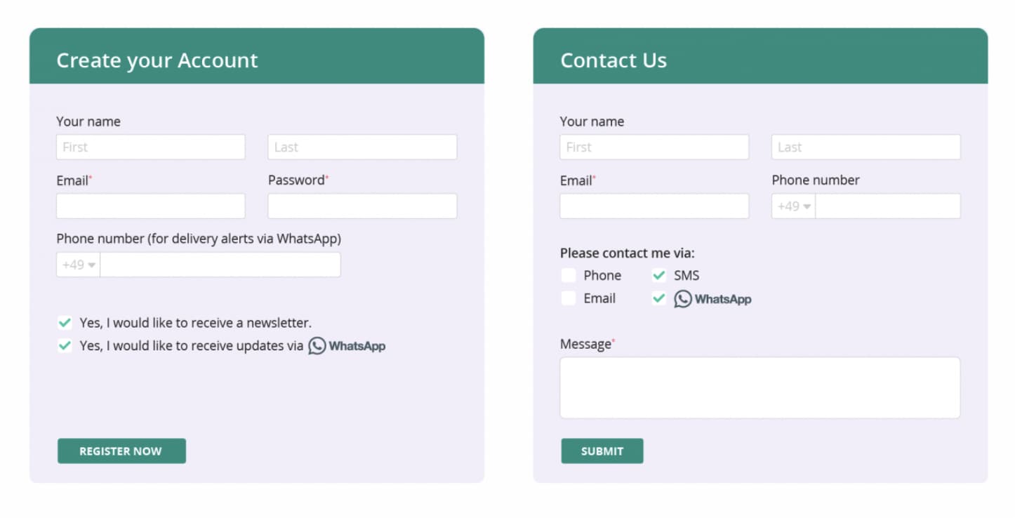 screenshot of example contact form