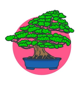 cartoon of bonsai