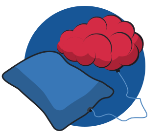 A pillow and a brain.