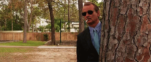 gif de Bill Murray caché derrière un arbre