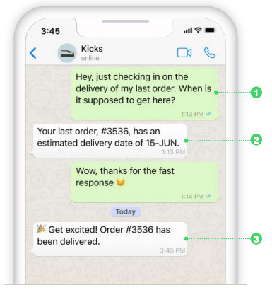 Image of a WhatsApp conversation with Kicks