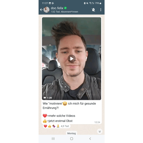 Beispiel für WhatsApp-Channel von Doc Felix